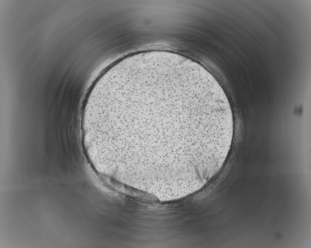 X0000110950800200907311040