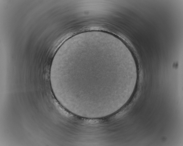 X0000110950801200907311040