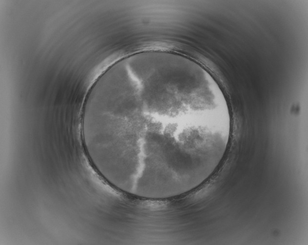 X0000110950802200907311040