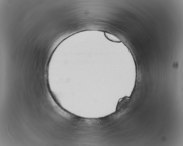 X0000110950803200907311040