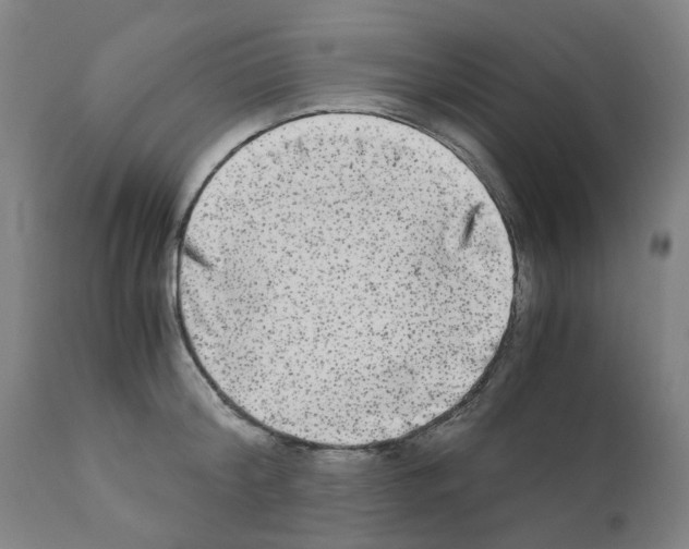 X0000110950804200907311040