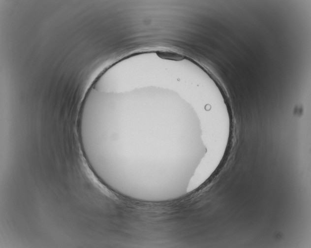X0000110950805200907311040