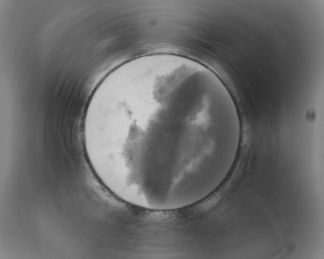 X0000110950806200907311040