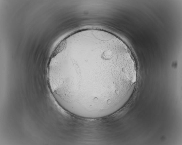 X0000110950807200907311040