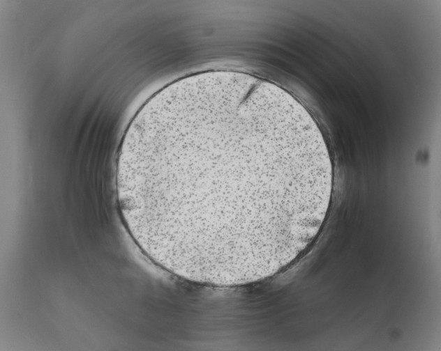 X0000110950808200907311040