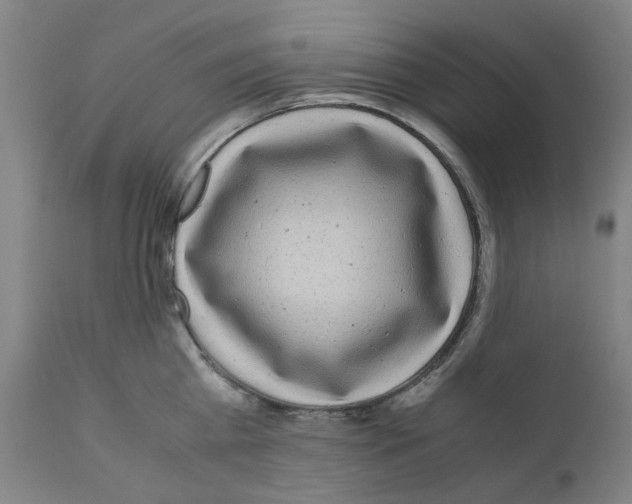 X0000110950809200907311040