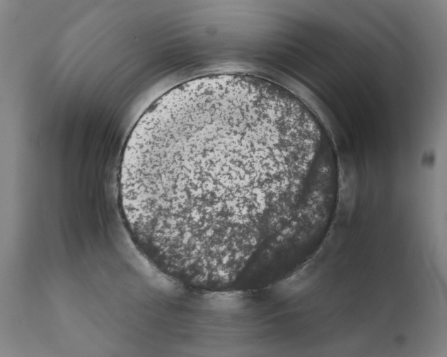 X0000110950810200907311040