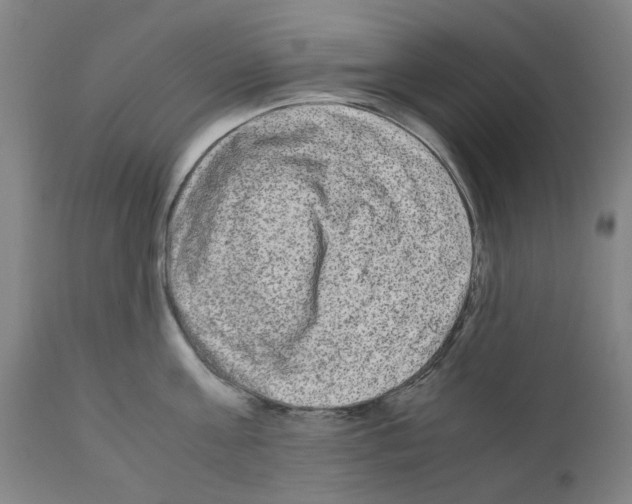 X0000110950811200907311040