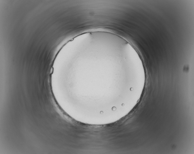 X0000110950813200907311040