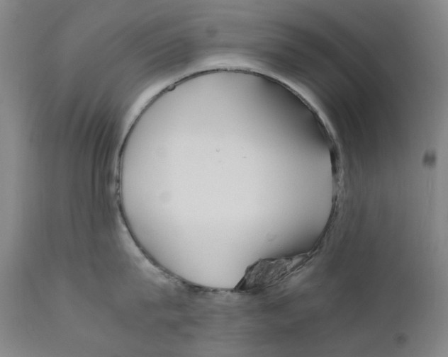 X0000110950815200907311040