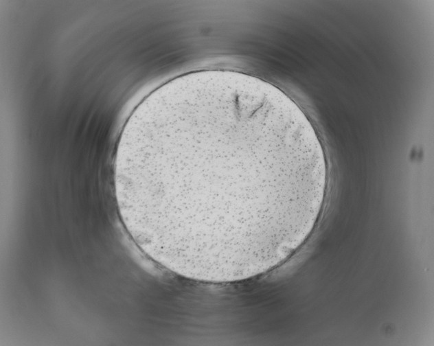 X0000110950816200907311040
