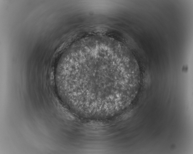 X0000110950818200907311039