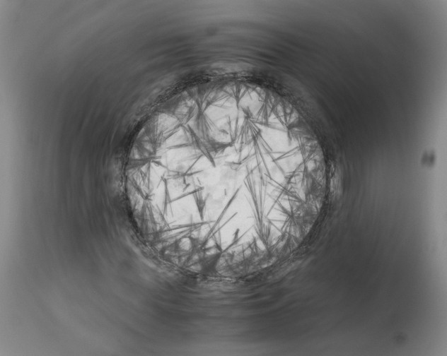 X0000110950819200907311039