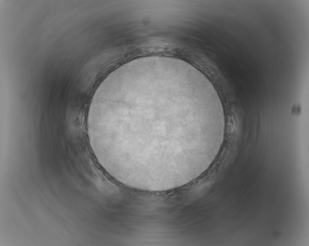 X0000110950820200907311039