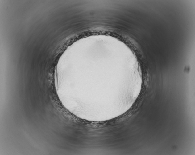X0000110950821200907311039