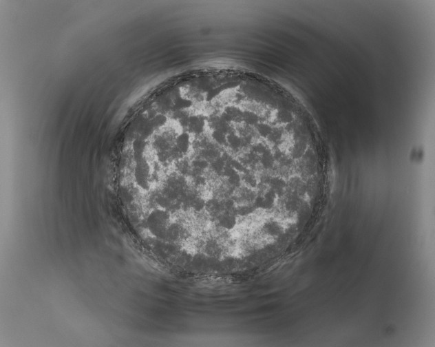 X0000110950823200907311039