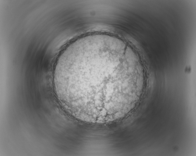 X0000110950824200907311039