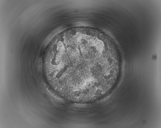 X0000110950825200907311039