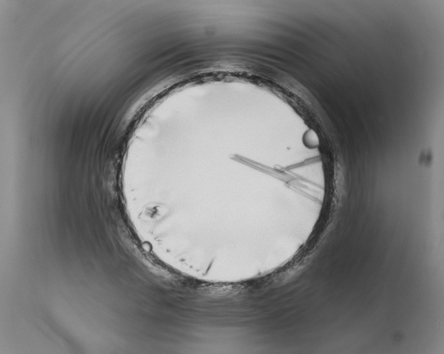 X0000110950826200907311039