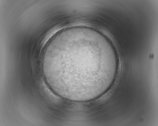 X0000110950828200907311039