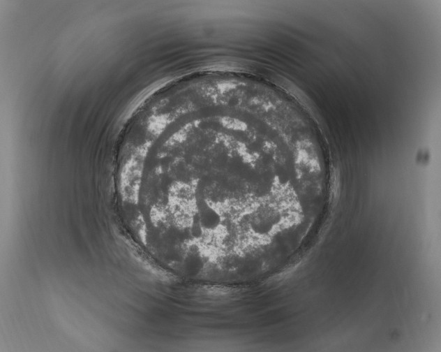 X0000110950829200907311039