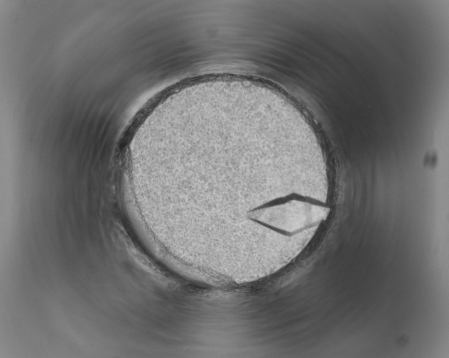 X0000110950830200907311039