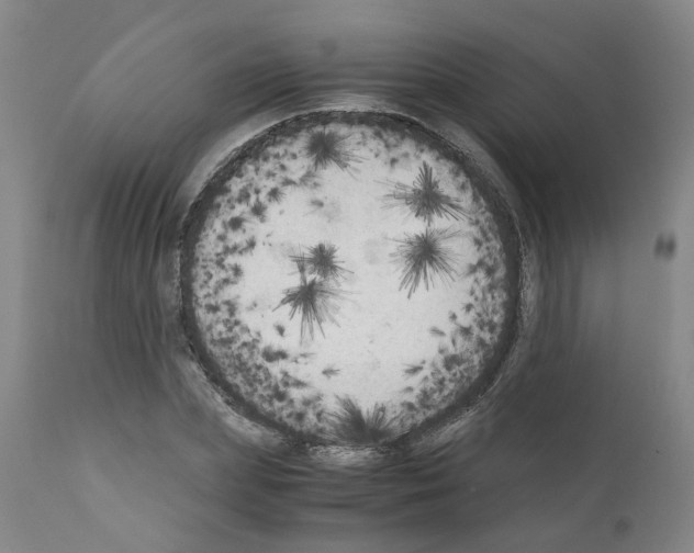 X0000110950831200907311039