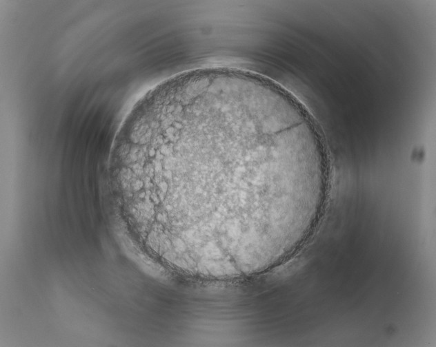 X0000110950832200907311039