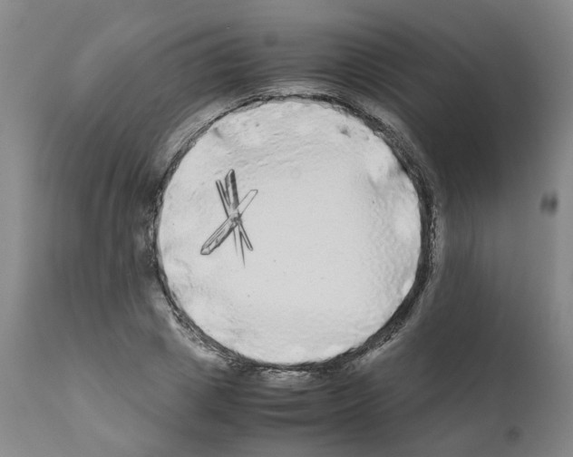 X0000110950833200907311039