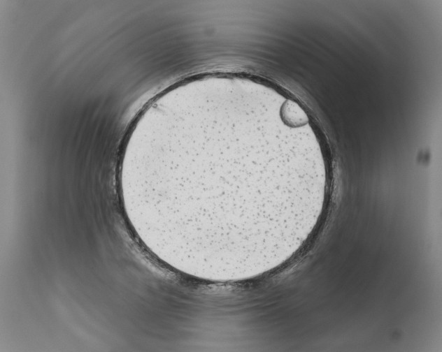 X0000110950834200907311039