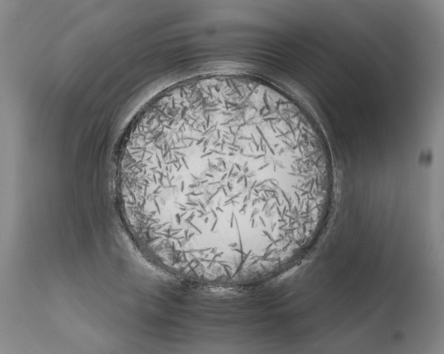 X0000110950835200907311039