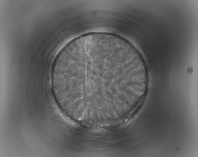 X0000110950837200907311039