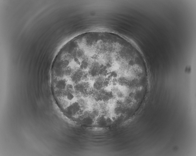 X0000110950839200907311039