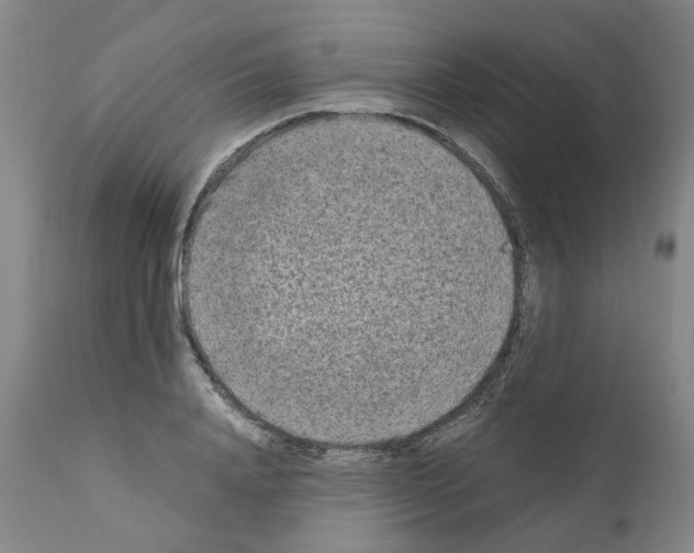 X0000110950840200907311039