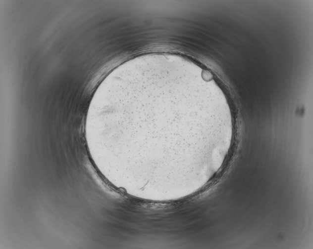 X0000110950841200907311039