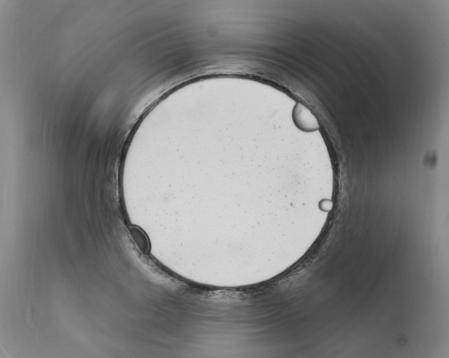X0000110950842200907311039