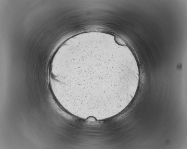 X0000110950843200907311039
