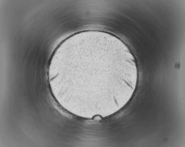 X0000110950846200907311040