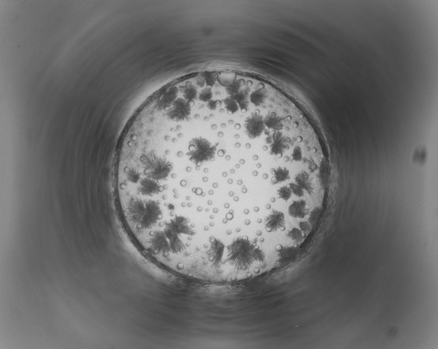 X0000110950847200907311040