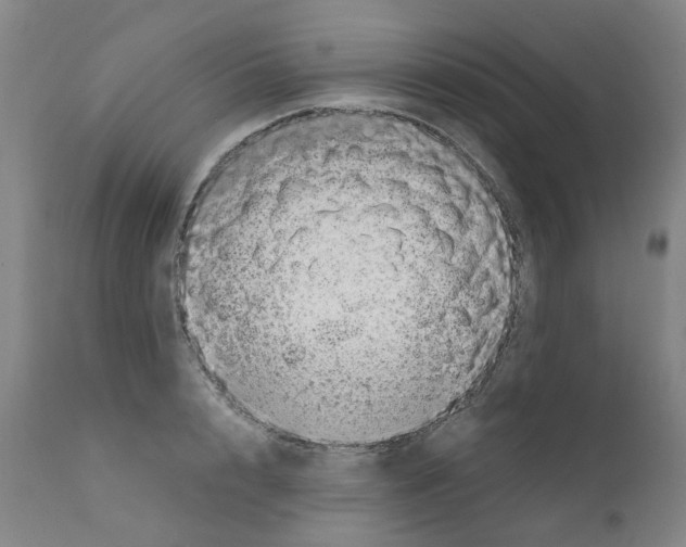 X0000110950848200907311040