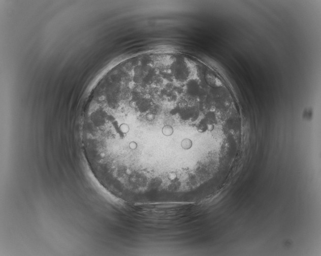 X0000110950851200907311040