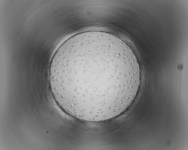 X0000110950852200907311040