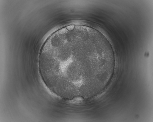 X0000110950853200907311040