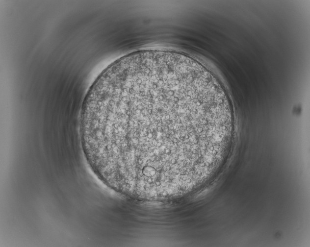 X0000110950855200907311040