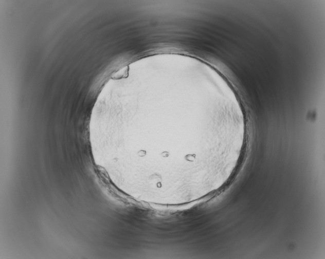 X0000110950857200907311040