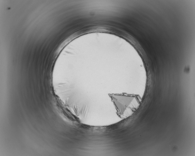 X0000110950858200907311040