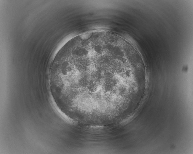 X0000110950859200907311040