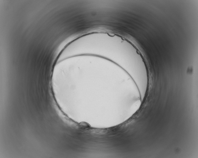 X0000110950861200907311040