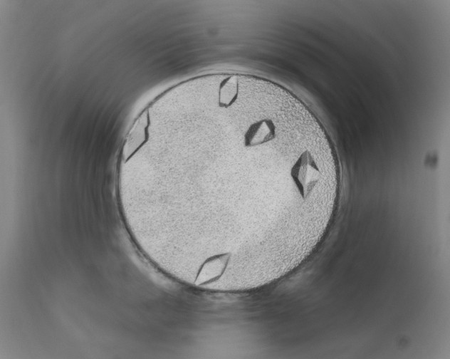 X0000110950862200907311040
