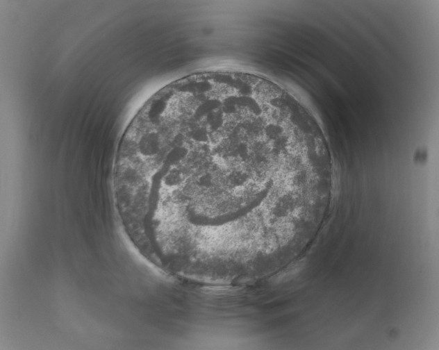 X0000110950863200907311040